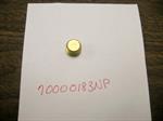 1/4^ Brass Plug