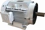 10 HP Techtop Washdown motor, 1800 RPM,