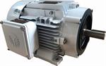 2 HP Techtop Washdown motor, 3600 RPM,