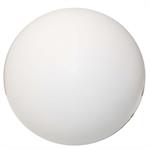 2^ Teflon ball for Y check valve