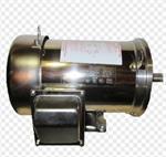 3 HP C-face Sterling Stainless Steel motor,3 phase
