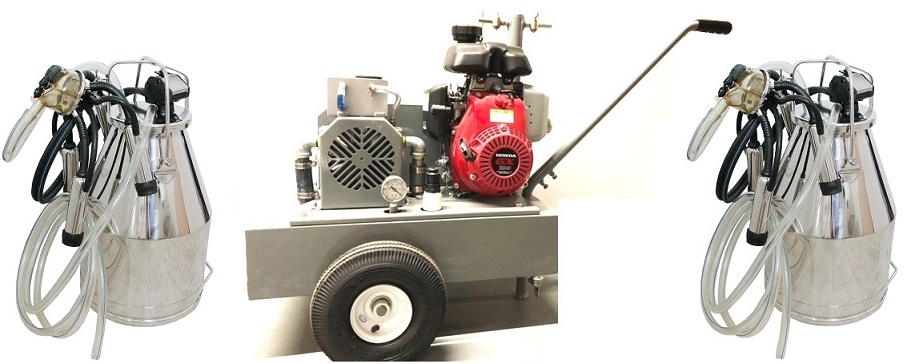 Portable Vacuum Pump Unit with 3 HP Gas engine
