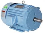 Premium Efficiency 10 HP WEC 3 phase motor