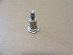 Replacement SS bolt for Perfection meter kit