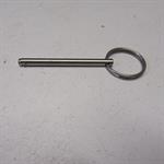 Replacement pin for backflush valve