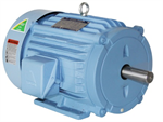 Premium Efficiency 15 HP WEC 3 phase motor