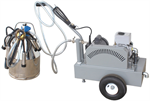 Deluxe Portable Pump