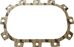 Gasket for RBS-55 Robuschi pump