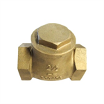 2 1/2^ Brass check valve