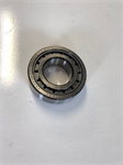 Bearing for RBS-35 Robuschi pump